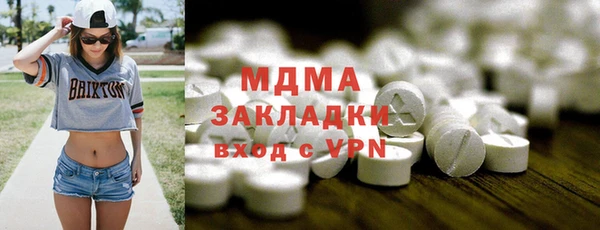 индика Елабуга