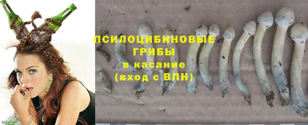 метамфетамин Елизово