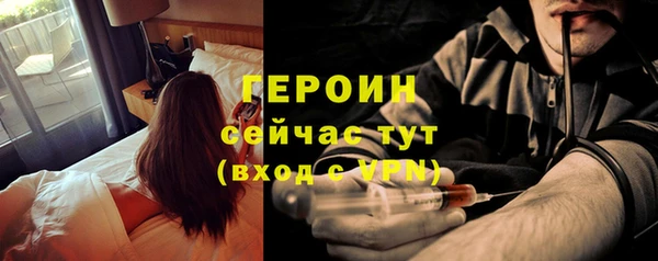 сатива Ельня