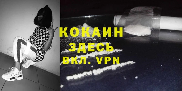 шишки Новодвинск