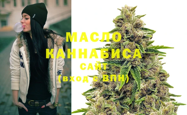 индика Елабуга
