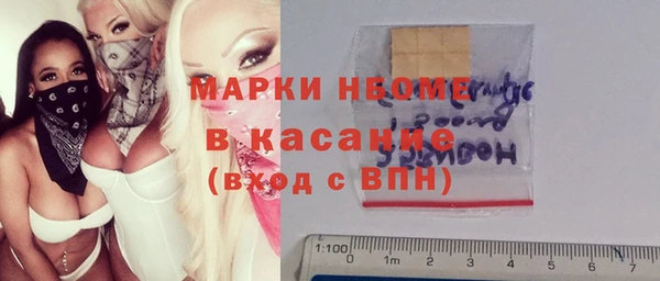 сатива Ельня