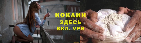кокс Дмитриев