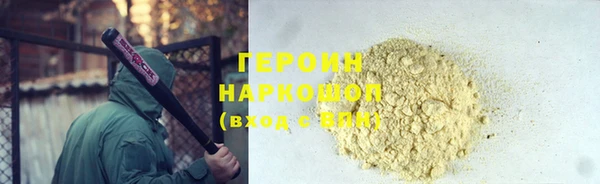 индика Елабуга