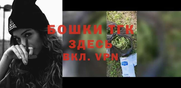 индика Елабуга