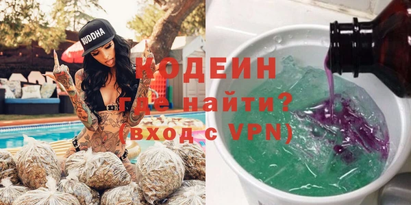 сатива Ельня