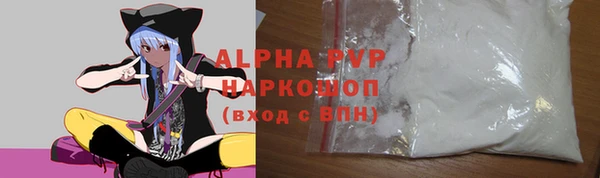 сатива Ельня