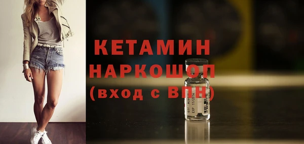 сатива Ельня