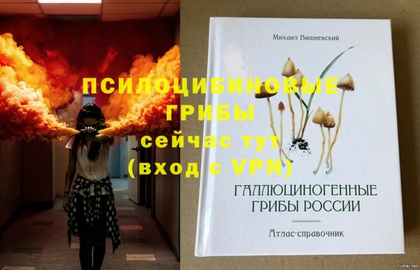 индика Елабуга