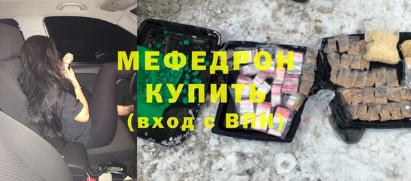 индика Елабуга