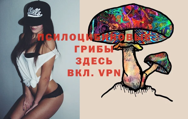 хмурый Дмитровск