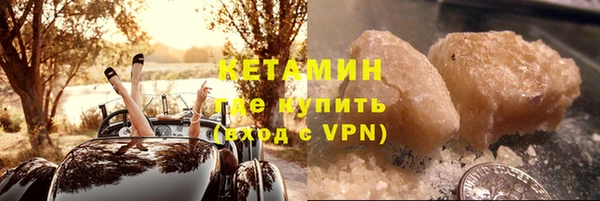индика Елабуга