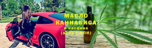 индика Елабуга
