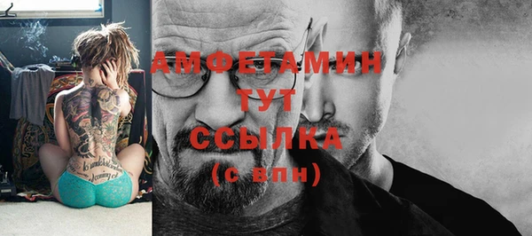 шишки Новодвинск
