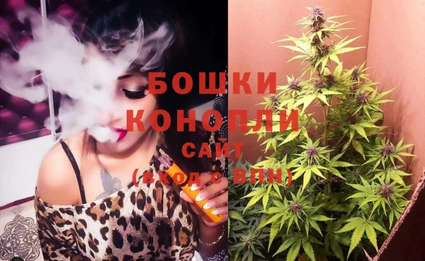 индика Елабуга