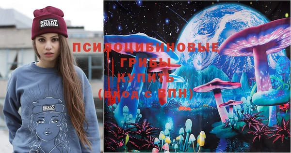 хмурый Дмитровск