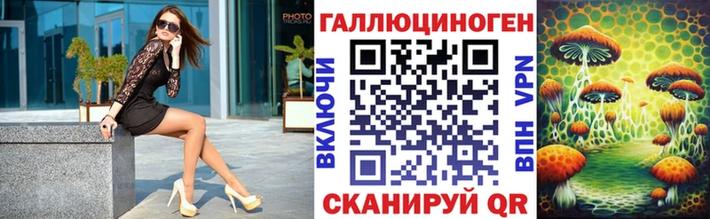 Псилоцибиновые грибы Cubensis Майкоп